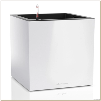 Lechuza - Doniczka Canto Premium kostka - wysokość 40 cm, biała, połysk