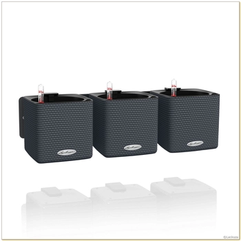 Lechuza - Zestaw "Zielona Ściana" Green Wall Home Kit - szary, matowy