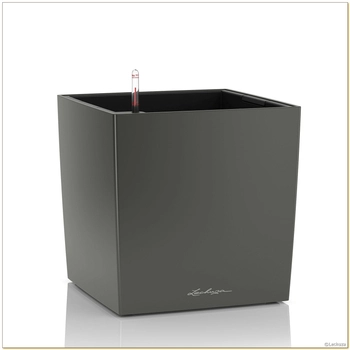 Lechuza - Donica Cube 50 - wysokość 49,5 cm, antracytowa, matowa