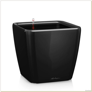 Lechuza - Doniczka Quadro LS 21 - wysokość 20,50 cm, czarna, połysk