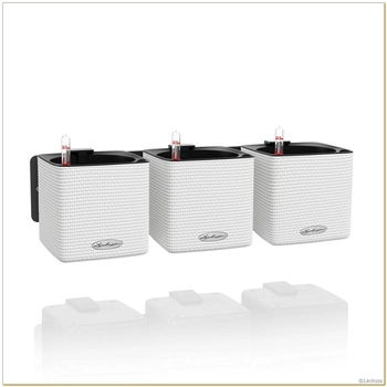 Lechuza - Zestaw "Zielona Ściana" Green Wall Home Kit - biały, matowy