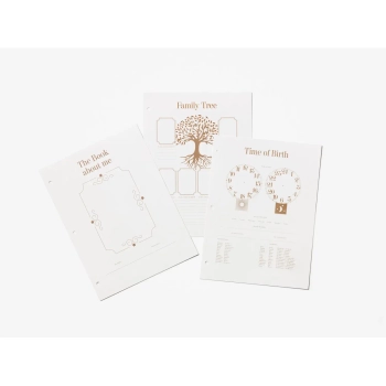 Printworks - Wkład do albumu dziecięcego My First Year, 10 arkuszy