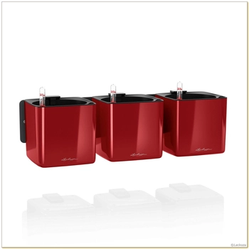 Lechuza - Zestaw "Zielona Ściana" Green Wall Home Kit - czerwony, połysk