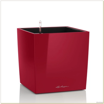 Lechuza - Donica Cube 40 - wysokość 40 cm, czerwona, połysk