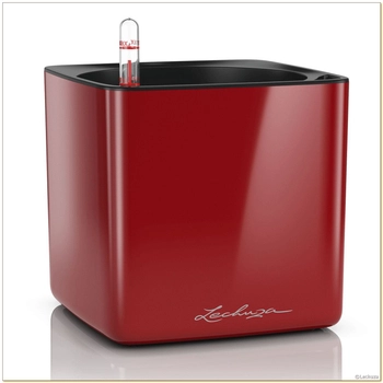 Lechuza - Doniczka Cube Glossy 16 - wysokość 16 cm, połysk